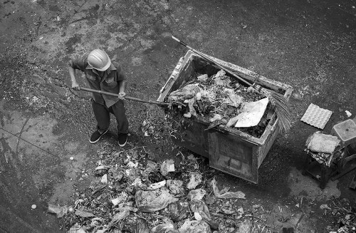 Timber and wood waste being removed from site